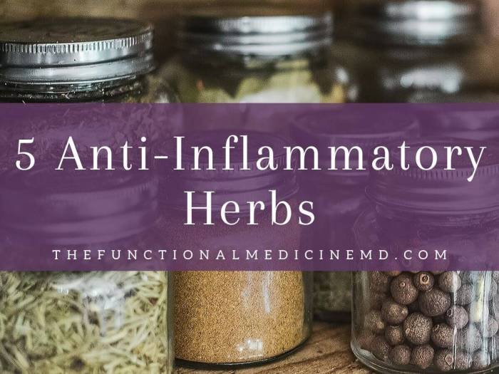 10 Best Herbs For Inflammation | Herbs To Reduce Inflammation - YouTube