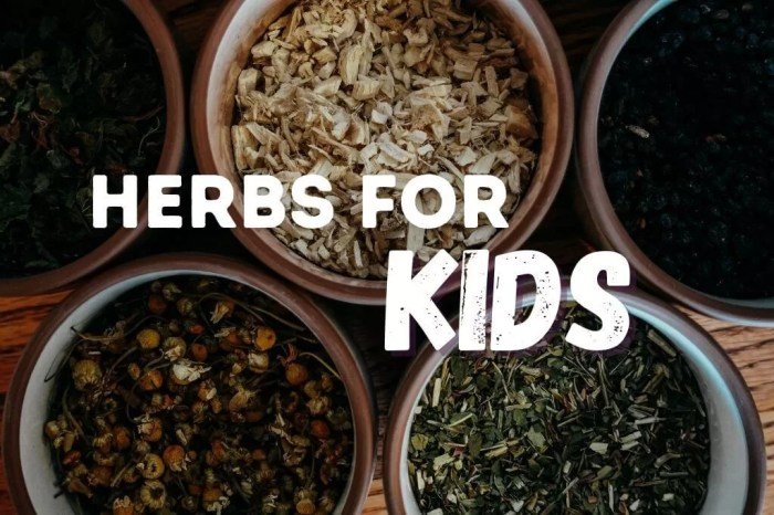 Teh herbal untuk anak-anak
