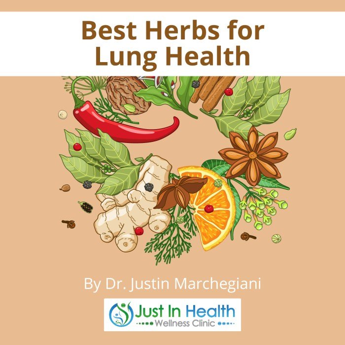 Teh herbal untuk kesehatan paru-paru