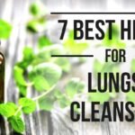 6 Herbs that Clear MUCUS from your Lungs | Get Rid of Mucus | Benefits ...