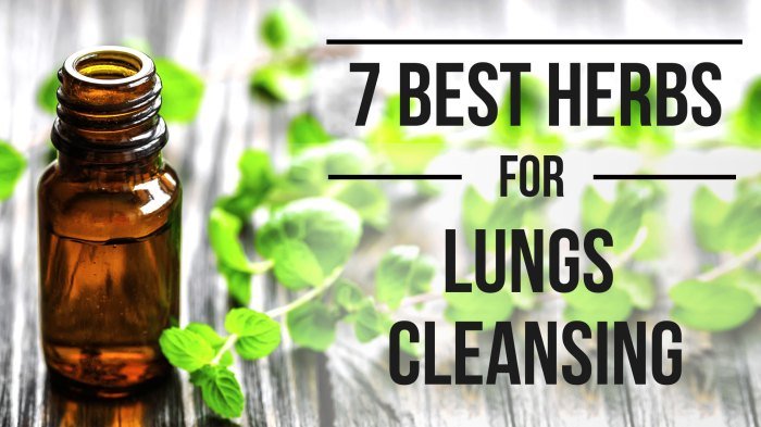 6 Herbs that Clear MUCUS from your Lungs | Get Rid of Mucus | Benefits ...