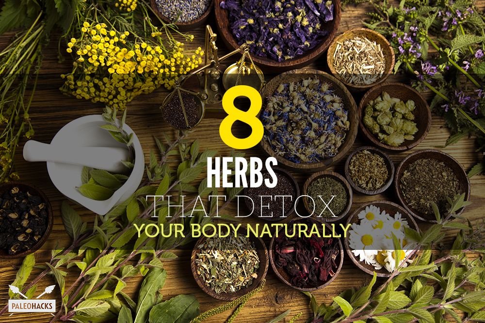 8 Herbs That Detox Your Body Naturally