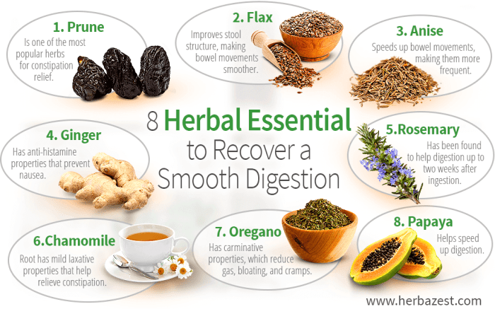 Teh herbal untuk sakit perut alami
