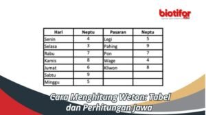 Bagaimana menentukan weton berdasarkan penanggalan jawa