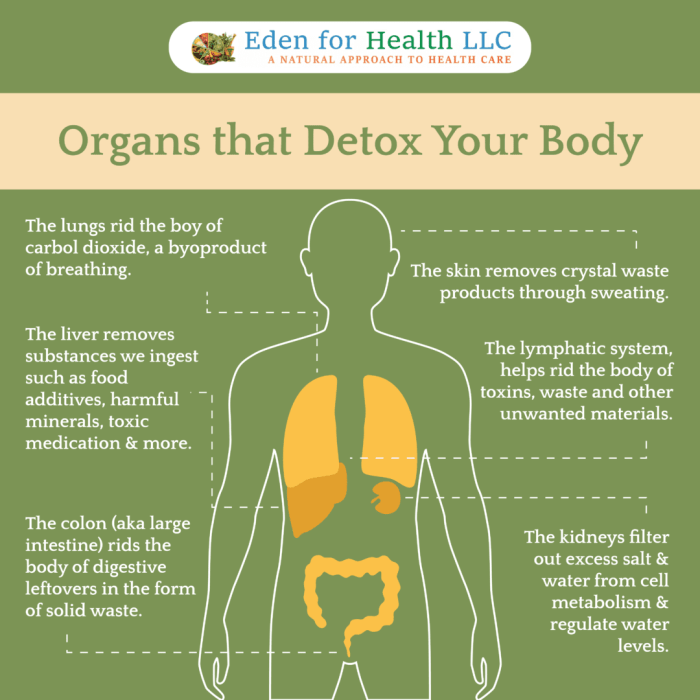 Detoxification Therapy – Eden For Health