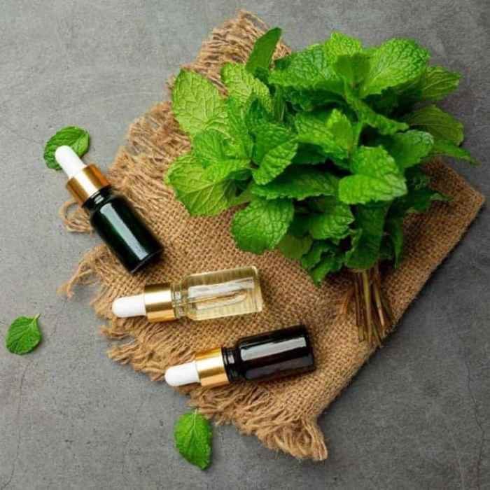Simple List of 8 Herbs That Support Natural Healing