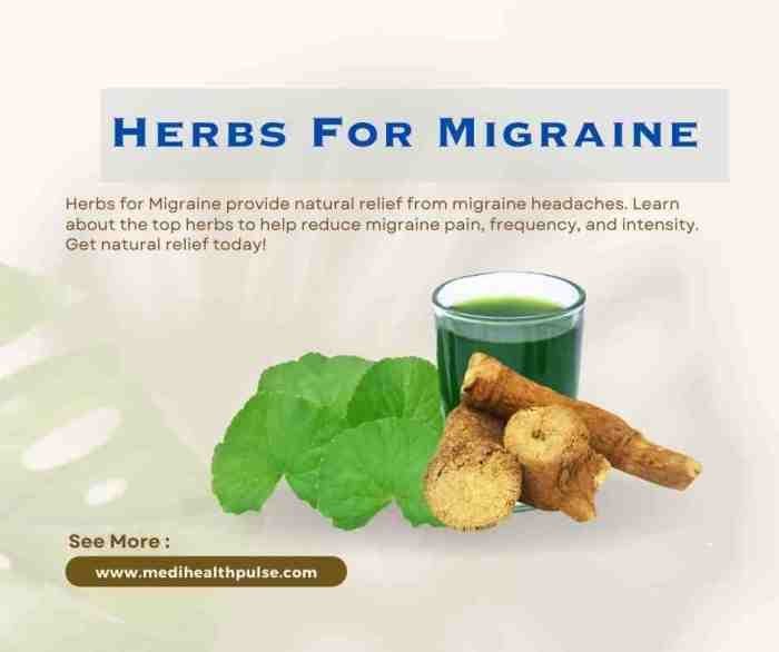 Teh herbal untuk meredakan migrain
