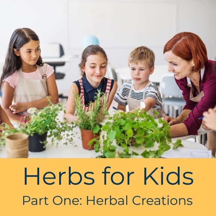 Herbs for Kids Part II: Herbal Identification - Earthschooling
