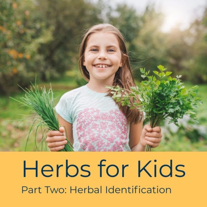 Ayurvedic Herbal Medicine For Kids Growth, Packaging Size : 300gm at Rs ...