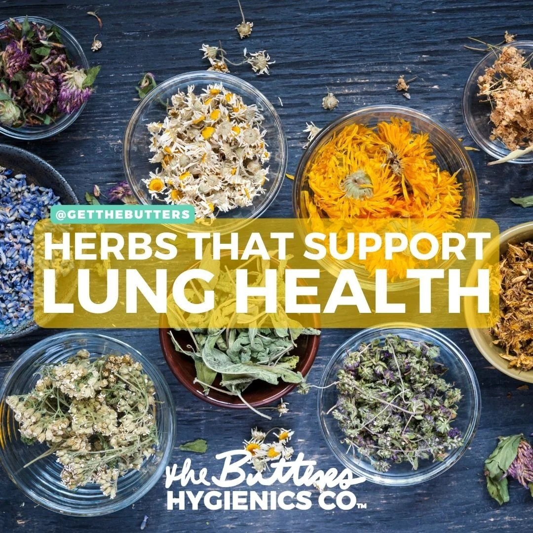 15 Powerful Herbs For Your Lungs Health | Lungs health, Herbs, Health