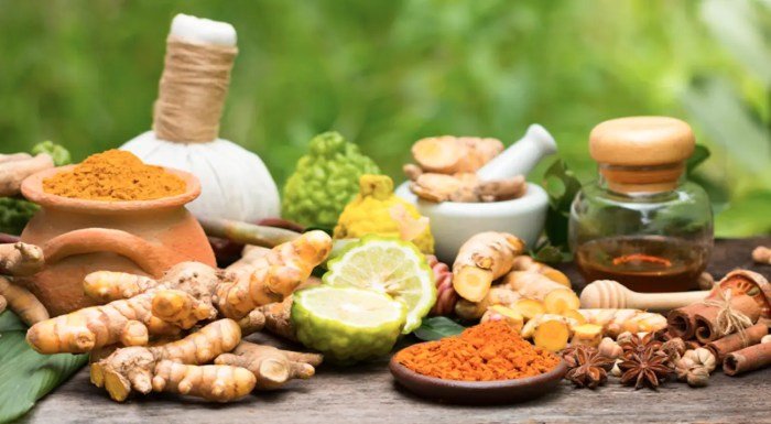 Know the Difference between Organic Medicinal Herbs and Their Benefits