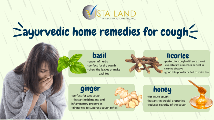 5 Home Remedies for the Flu - CNM College of Naturopathic Medicine