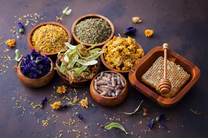 Herbal Organic Medicine Product Natural Herb Stock Photo 1194646045 ...
