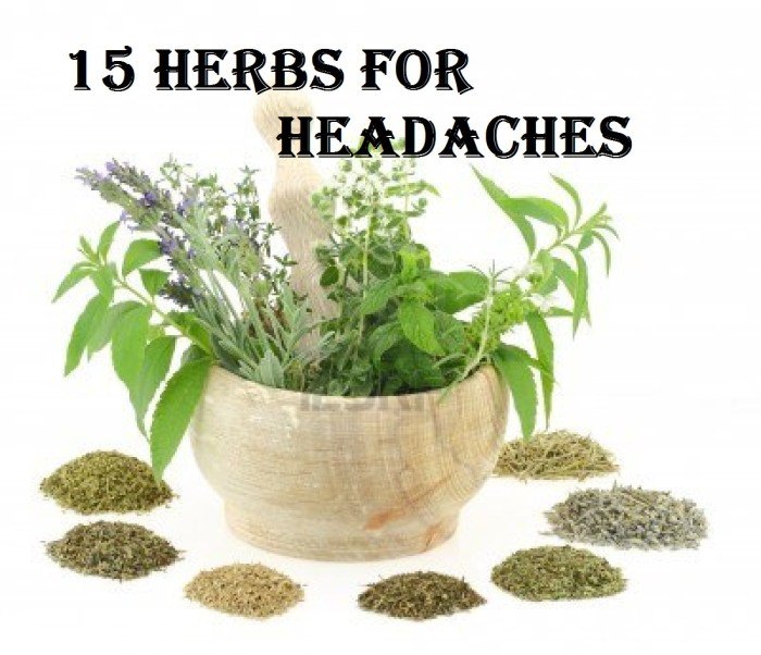 Top 10 herbal remedies for headache relief