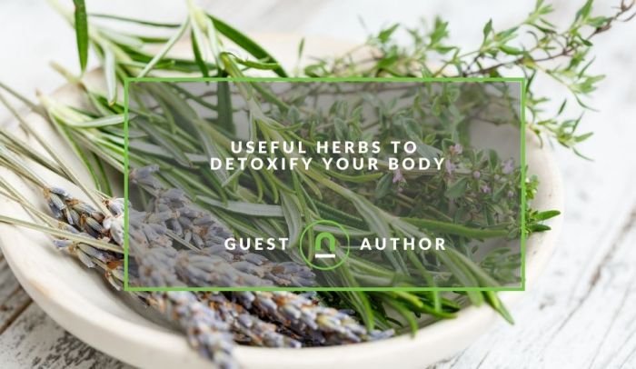 Teh herbal untuk detoksifikasi tubuh