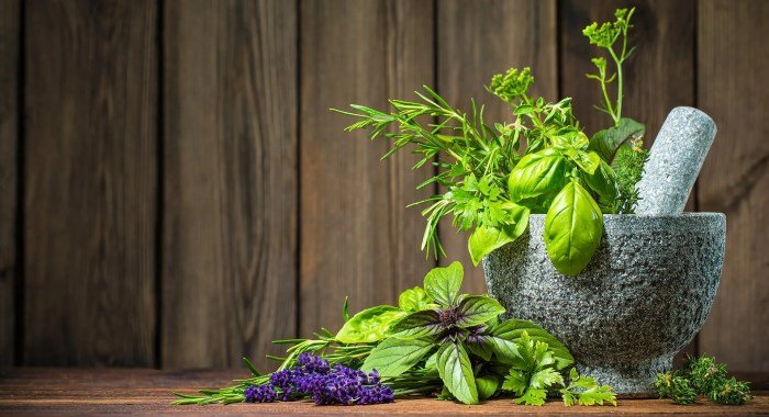 Teh herbal organik terbaik