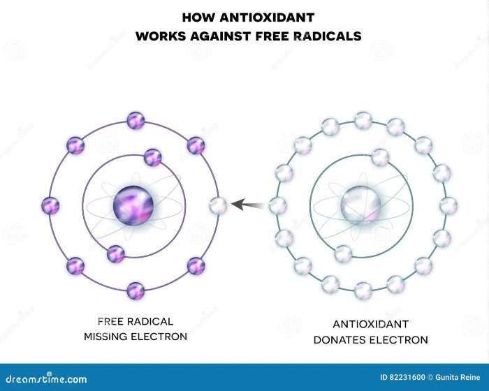 Free Radicals and Antioxidants